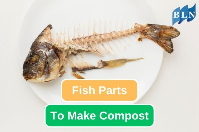 These Are The 4 Best Fish Parts To Make Compost